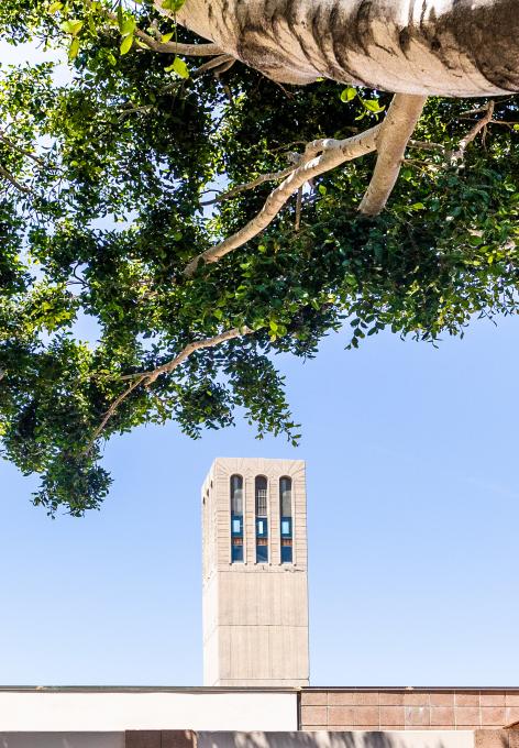 Arts building with Storke Tower in the background and a large tree framing the top of the photo