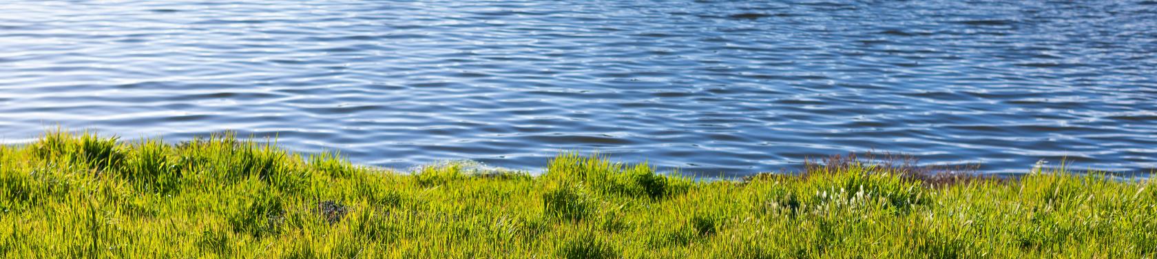 dark blue ocean water in the top half green grass in the bottom